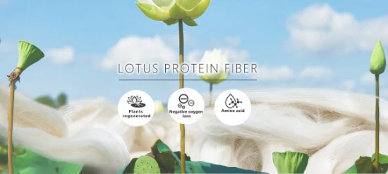 Lotus-Proteinfaser